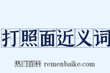 打照面近义词是什么意思的图片